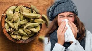 Cardamom Benefits Little Cardamom Will Keep You Fit In Winter Read These Amazing Benefits