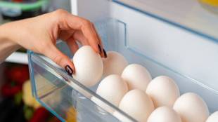 Should Eggs Be Kept In The Fridge Or Outside Know What Is The Right