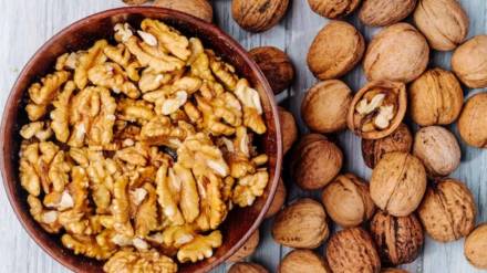 You must eat walnuts in winter know in what quantity and when should you eat them lifestyle