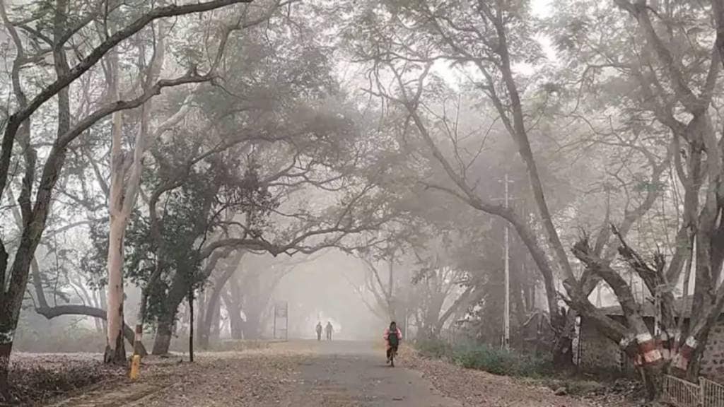 Forecast by Meteorological Department