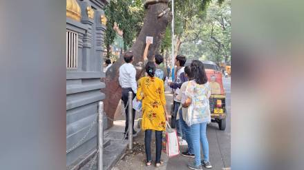 QR code Deccan trees