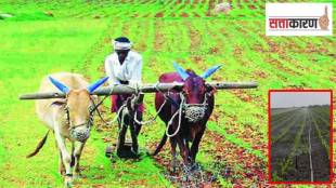 Akkalkot received dam water
