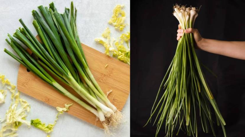 You Can Grow Easily This Five Fruits And Vegetables In Your Home Garden This Winter