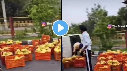 A Tempo Carrying Bananas Overturned On Airport Road Of Amritsar Youngsters Helped The Truck Driver A Tempo Carrying Bananas Overturned On Airport Road Of Amritsar Youngsters Helped The Truck Driver