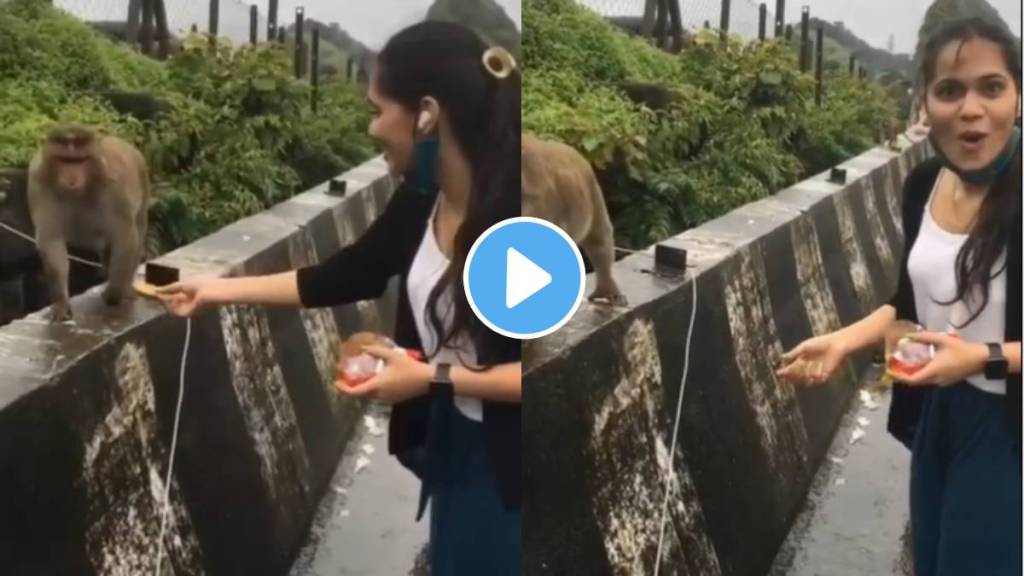 moye moye video viral on social media