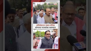 dcm ajit pawar on ncp mla nawab malik