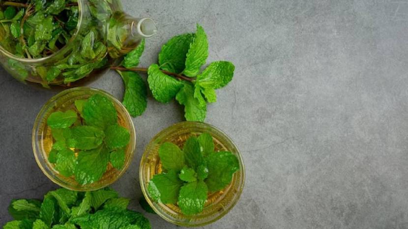 Drink Basil Water On An Empty Stomach Every Day Tulsi Water Benefits For Babies 