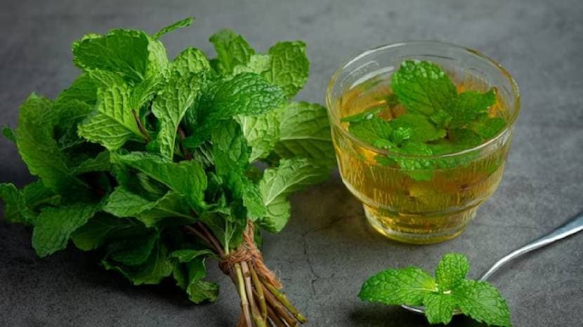 Drink Basil Water On An Empty Stomach Every Day Tulsi Water Benefits For Babies 