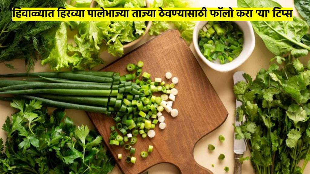 how to keep green leafy vegetables fresh in fridge
