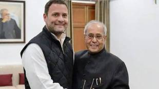 Rahul Gandhi and Pranab Mukharjee