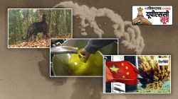 यूपीएससी सूत्र : ओडिशातील काळा वाघ, खाद्यतेल आयातीविषयी केंद्राचे धोरण अन् चीनकडून अणूचाचणीची तयारी