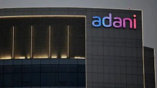 adani group, market capitalization, assets