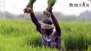 Many villages have planned the steps of agricultural development