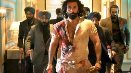 animal-box-office-collection-day5 animal-box-office-collection-day5