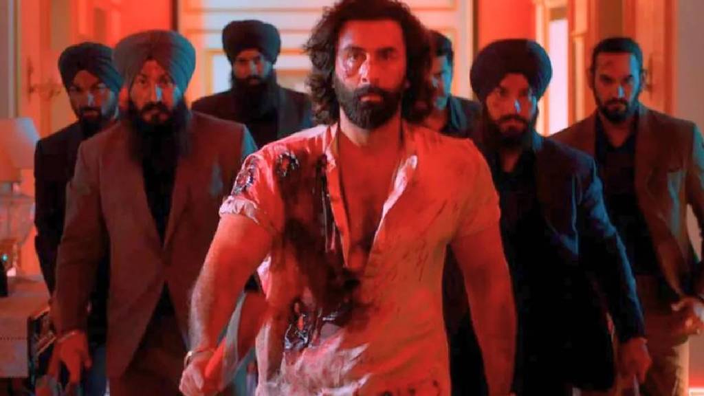 animal-day4-collection animal-day4-collection