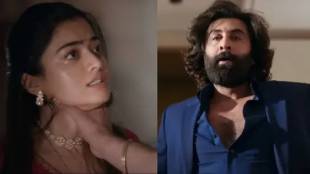 animal-problematic-scenes