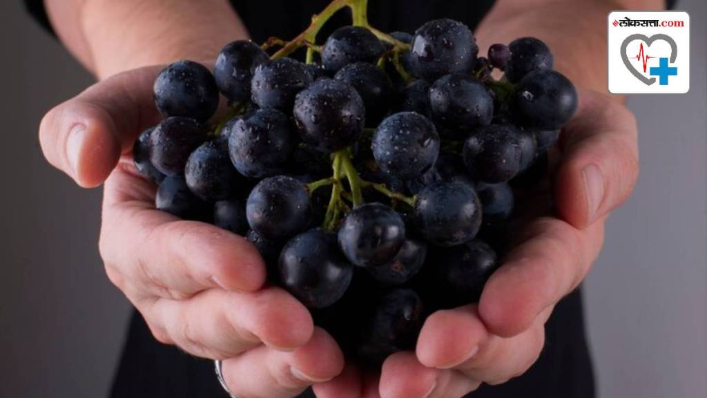 Nutrition alert Heres what a 100 gram serving of black grapes contains Health Benefits of Black Grapes Nutrition alert Heres what a 100 gram serving of black grapes contains Health Benefits of Black Grapes