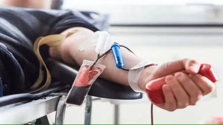 eight Lakh students to be tested for blood group for uploading information on student portal before next academic year in palghar