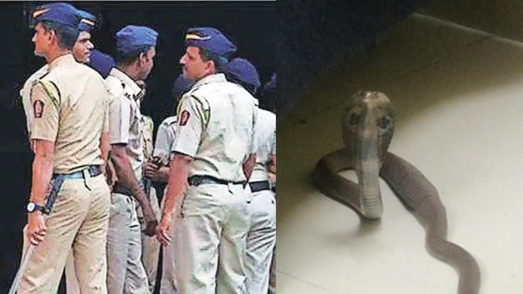 snake in crime branch office, police office snake nagpur, police officer caught the snake in nagpur