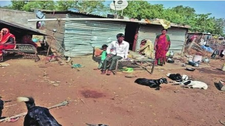 1126 hectares of government land encroached, encroachment in gondia