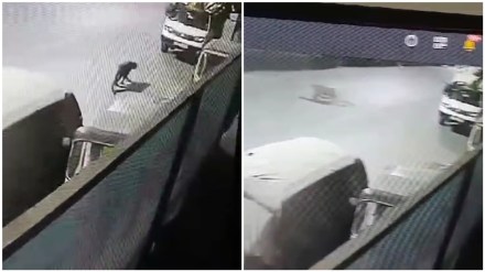 pimpri chinchwad leopard news in marathi, leopard in pimpri chinchwad news in marathi pimpri chinchwad leopard news in marathi, leopard in pimpri chinchwad news in marathi