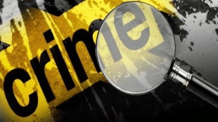 crimeWhat is the number of Maharashtra registered crimes foreign offenders india