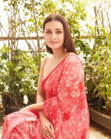dia mirza 8