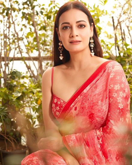 dia mirza 8