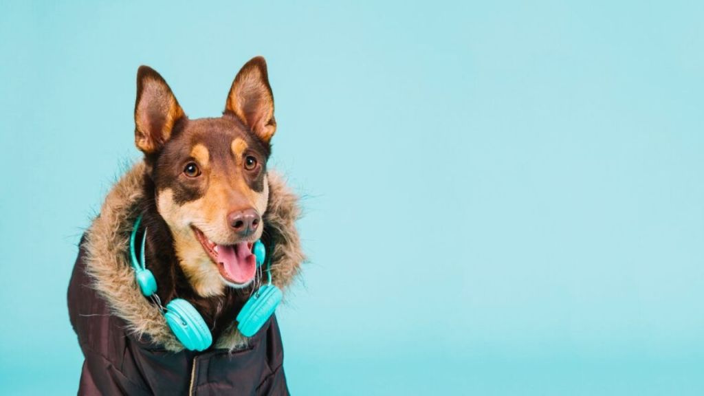 dog singing arjit sings song viral video