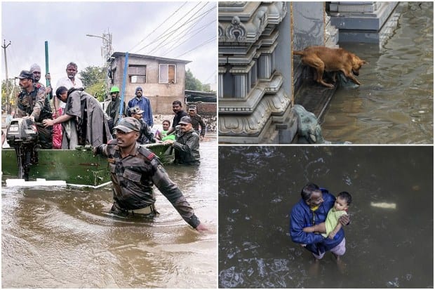 Cyclone michaung