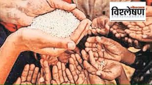 analysis central govt extends free foodgrain scheme for 81 cr poor for five years