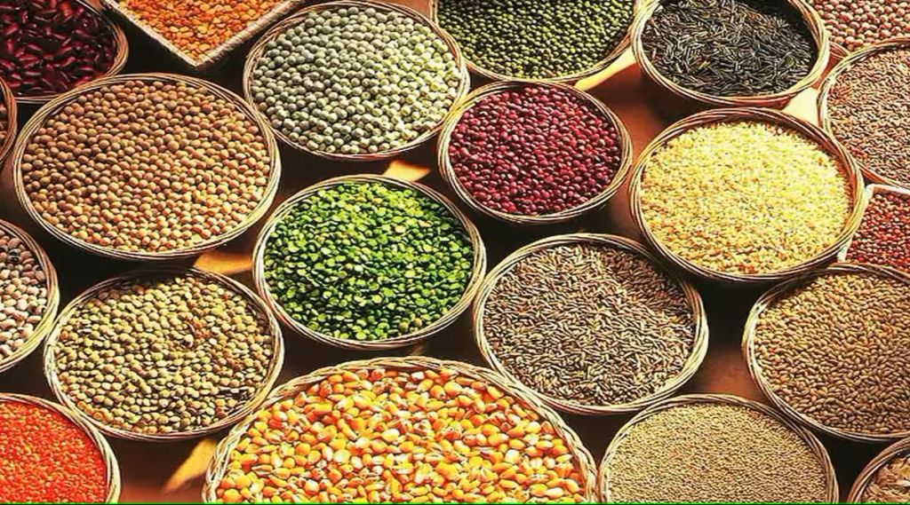 shree food excellence center shifted to baramati from solapur shree food excellence center shifted to baramati from solapur