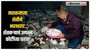 Mushroom Farming