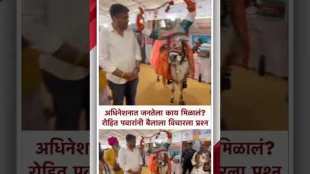 Rohit Pawar