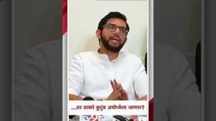 Aditya Thackeray