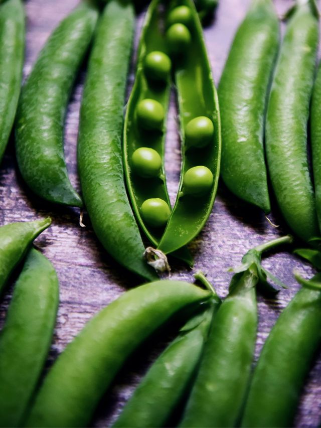 green peas nutrition profile benefits winter vegetables health tips gujarati news