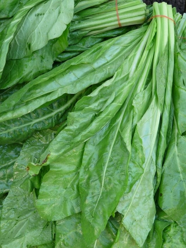 Health Tips Diabetes Tips Spinach