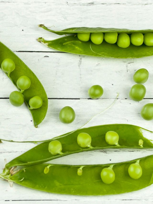 green peas nutrition profile benefits winter vegetables health tips gujarati news