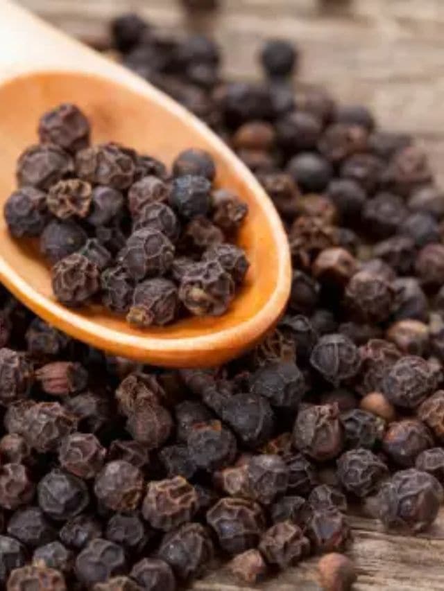 winter diet foods to keep you warm health tips gujarati news