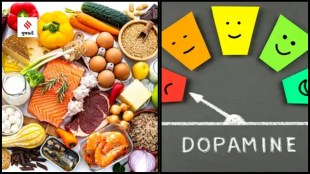 Mental Health dopamine boosting foods