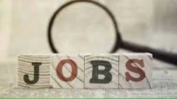 नोकरीची संधी