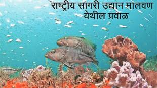 marine national park