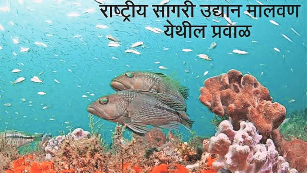 marine national park marine national park