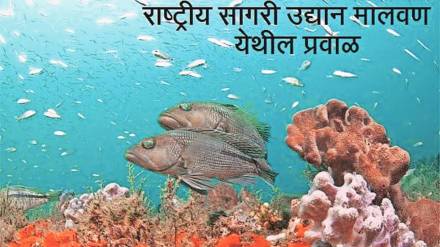 marine national park marine national park