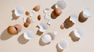 how to reuse egg shells or ande kavach in garding as compost and cleaning