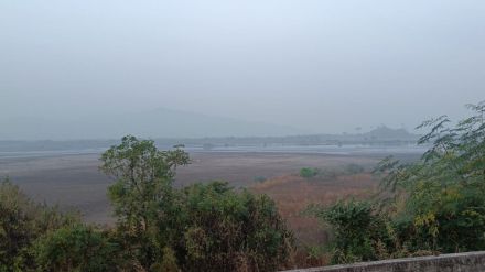 number of foreign birds visiting Uran decreased due to destruction and drying up of water bodies
