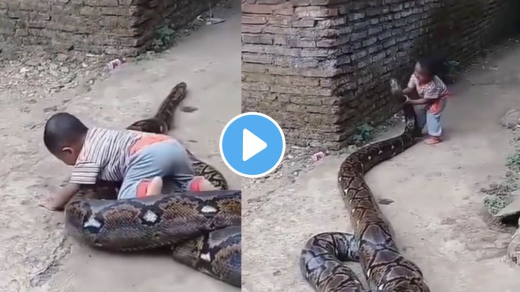 a child playing with python outside his home