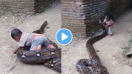 a child playing with python outside his home