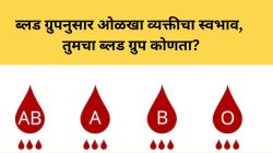 Personality Traits : ब्लड ग्रुपनुसार ओळखा व्यक्तीचा स्वभाव, तुमचा ब्लड ग्रुप कोणता?