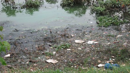Swami Vivekananda Lake in Bandra